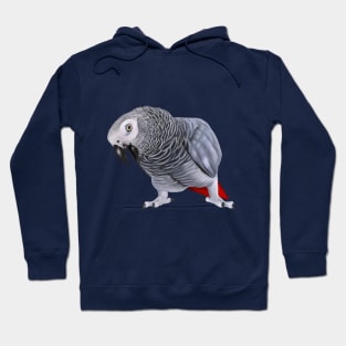 African Grey Parrot Hoodie